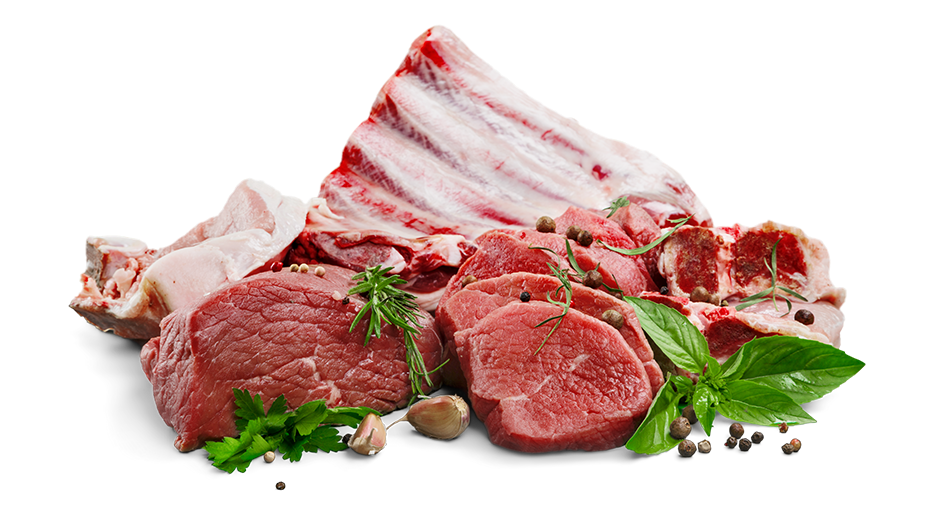 image-with-text-intro